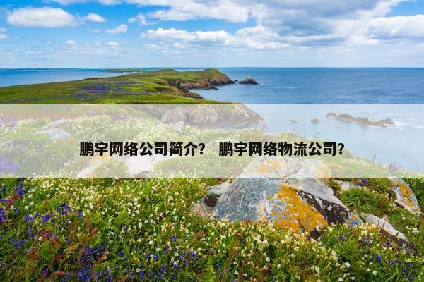 鹏宇网络公司简介？ 鹏宇网络物流公司？
