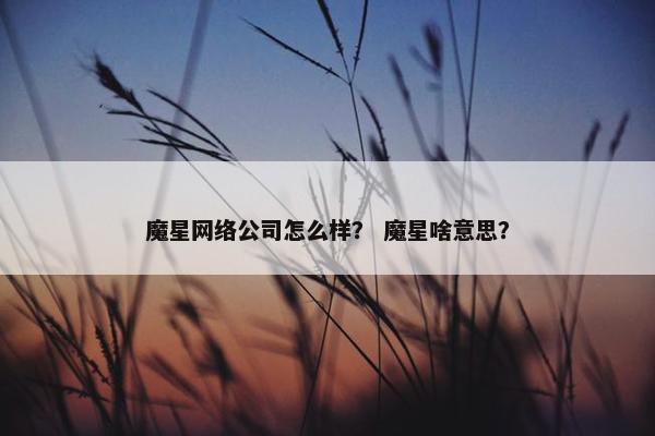 魔星网络公司怎么样？ 魔星啥意思？