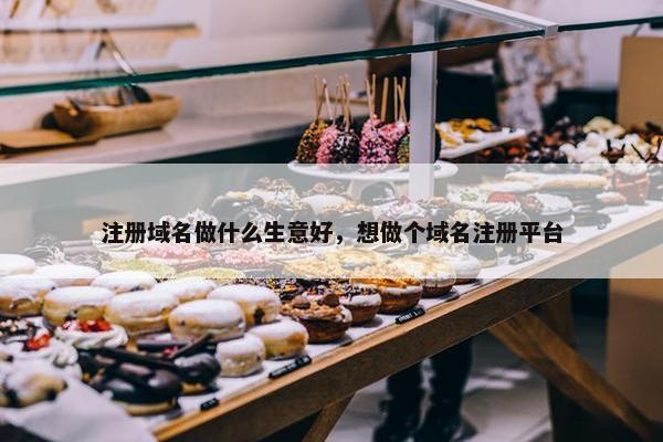 注册域名做什么生意好，想做个域名注册平台