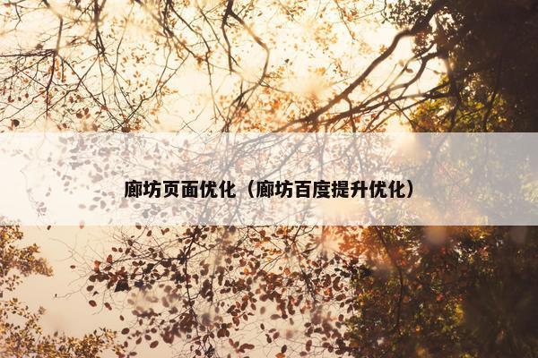 廊坊页面优化（廊坊百度提升优化）