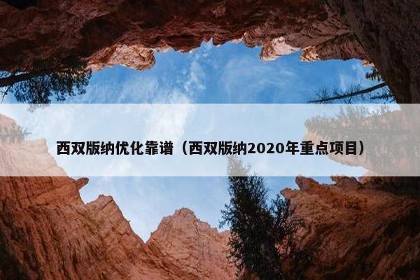 西双版纳优化靠谱（西双版纳2020年重点项目）