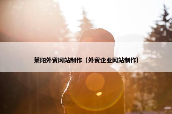 莱阳外贸网站制作（外贸企业网站制作）