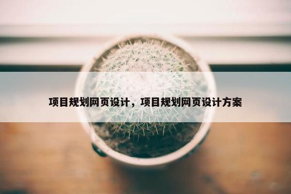 项目规划网页设计，项目规划网页设计方案