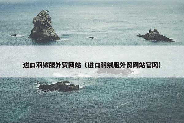 进口羽绒服外贸网站（进口羽绒服外贸网站官网）