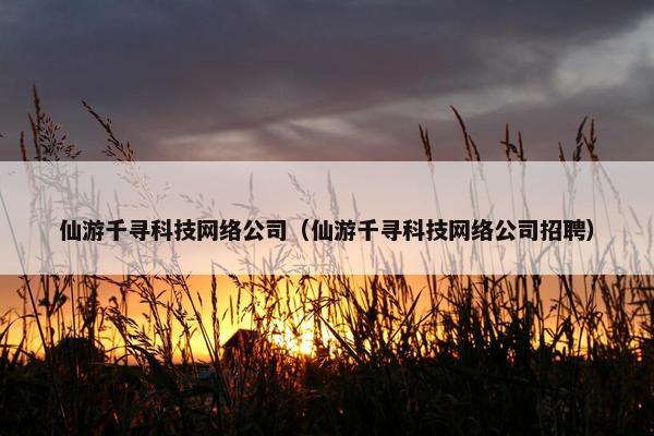 仙游千寻科技网络公司（仙游千寻科技网络公司招聘）