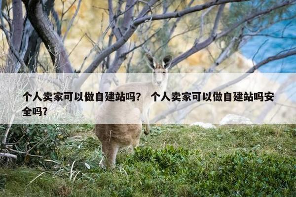 个人卖家可以做自建站吗？ 个人卖家可以做自建站吗安全吗？