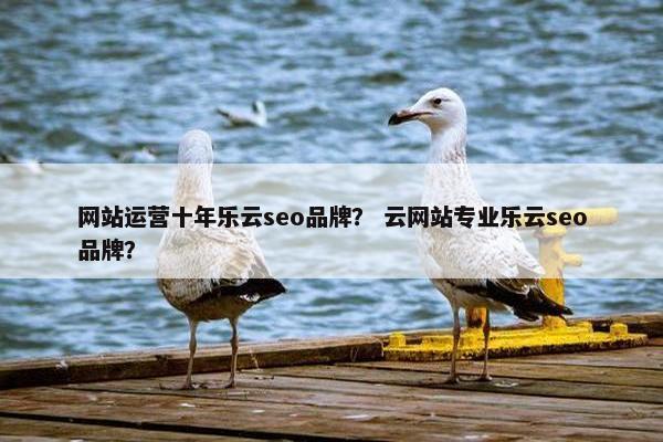网站运营十年乐云seo品牌？ 云网站专业乐云seo品牌？