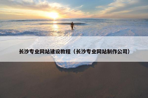 长沙专业网站建设教程（长沙专业网站制作公司）
