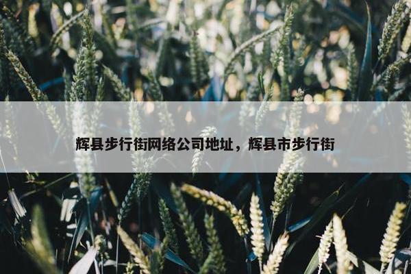 辉县步行街网络公司地址，辉县市步行街