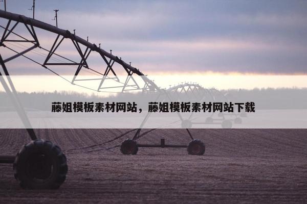 藤姐模板素材网站，藤姐模板素材网站下载