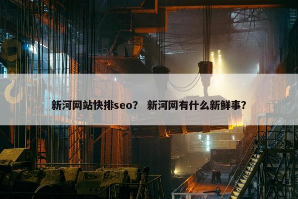 新河网站快排seo？ 新河网有什么新鲜事？