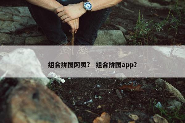 组合拼图网页？ 组合拼图app？