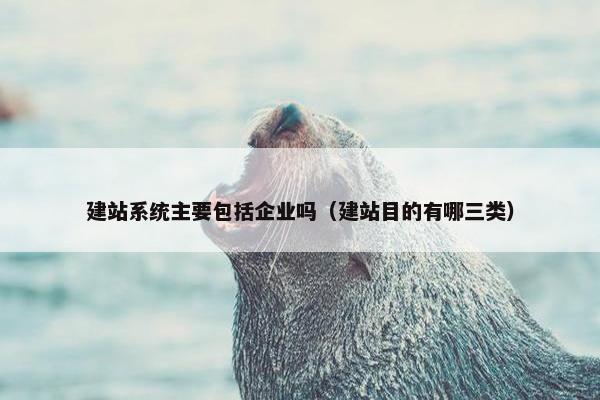 建站系统主要包括企业吗（建站目的有哪三类）