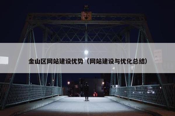 金山区网站建设优势（网站建设与优化总结）