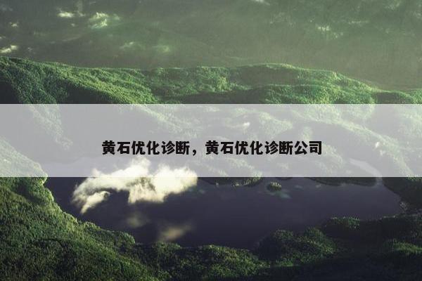 黄石优化诊断，黄石优化诊断公司