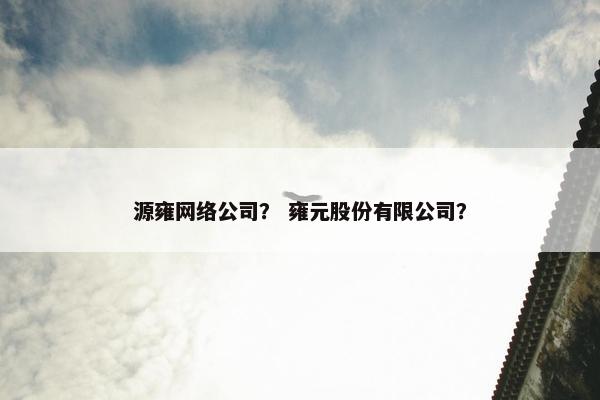 源雍网络公司？ 雍元股份有限公司？