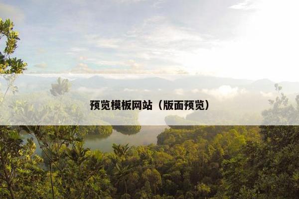 预览模板网站（版面预览）
