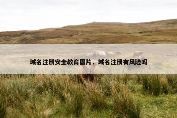 域名注册安全教育图片，域名注册有风险吗