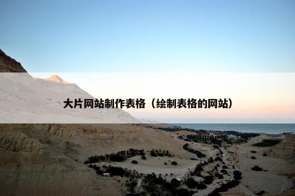 大片网站制作表格（绘制表格的网站）