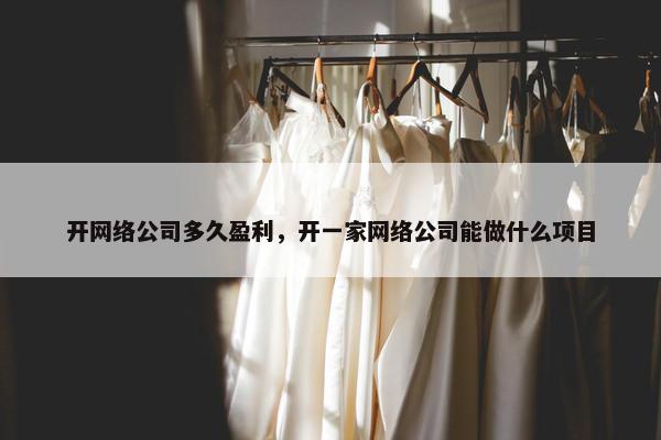 开网络公司多久盈利，开一家网络公司能做什么项目