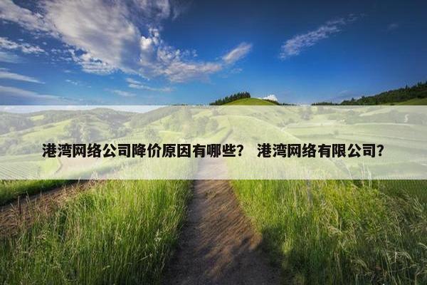 港湾网络公司降价原因有哪些？ 港湾网络有限公司？
