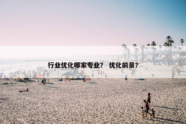 行业优化哪家专业？ 优化前景？