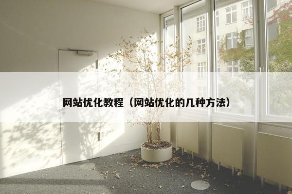 网站优化教程（网站优化的几种方法）