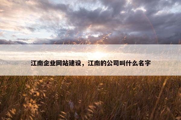 江南企业网站建设，江南的公司叫什么名字