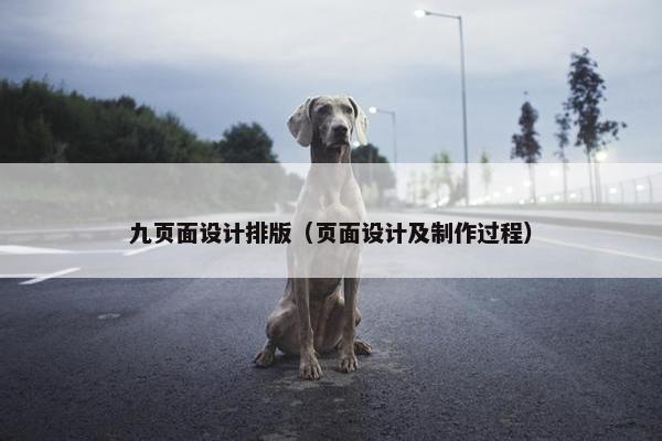九页面设计排版（页面设计及制作过程）