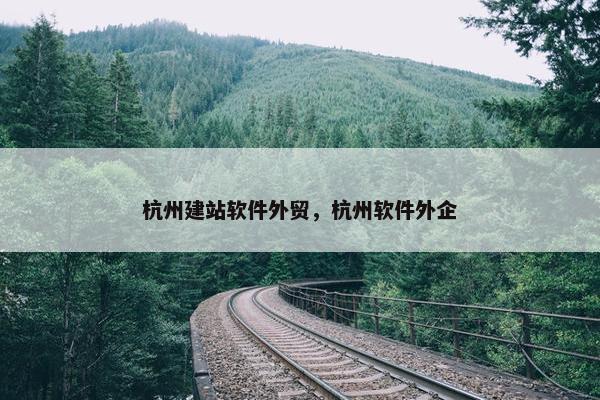 杭州建站软件外贸，杭州软件外企