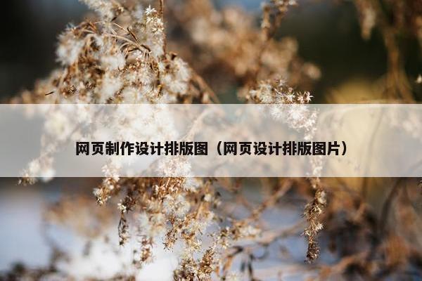 网页制作设计排版图（网页设计排版图片）