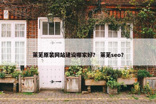 莱芜原装网站建设哪家好？ 莱芜seo？