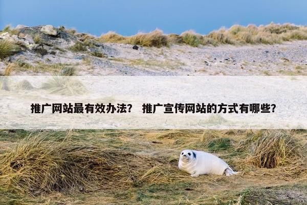 推广网站最有效办法？ 推广宣传网站的方式有哪些？
