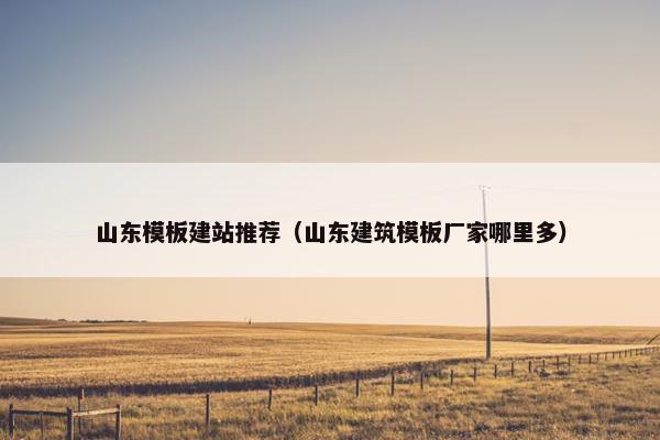 山东模板建站推荐（山东建筑模板厂家哪里多）