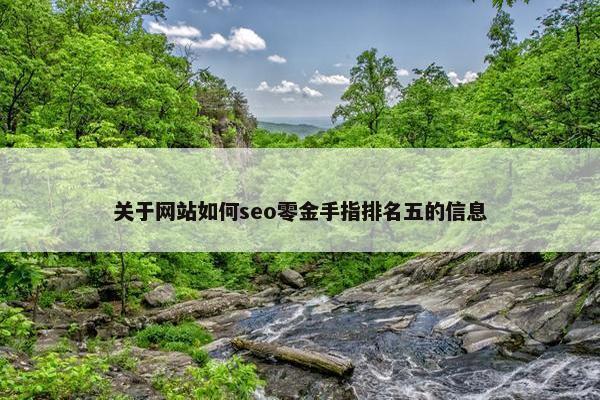 关于网站如何seo零金手指排名五的信息