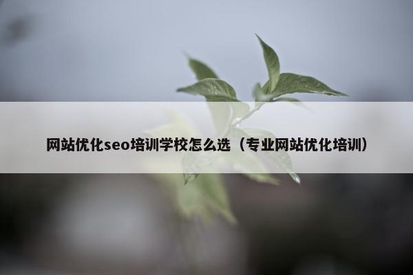 网站优化seo培训学校怎么选（专业网站优化培训）