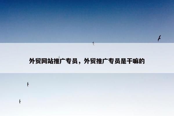 外贸网站推广专员，外贸推广专员是干嘛的