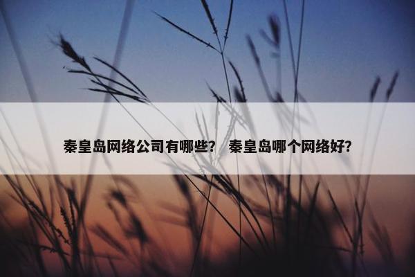 秦皇岛网络公司有哪些？ 秦皇岛哪个网络好？