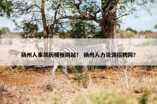 扬州人事简历模板网站？ 扬州人力资源招聘网？