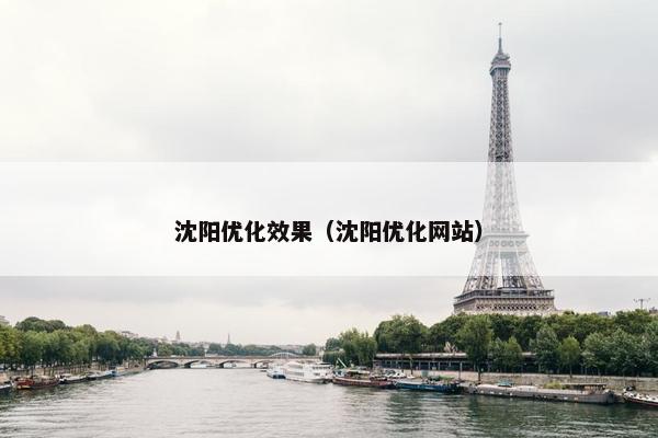 沈阳优化效果（沈阳优化网站）