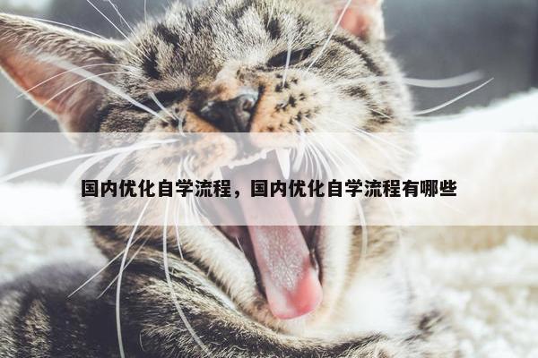 国内优化自学流程，国内优化自学流程有哪些