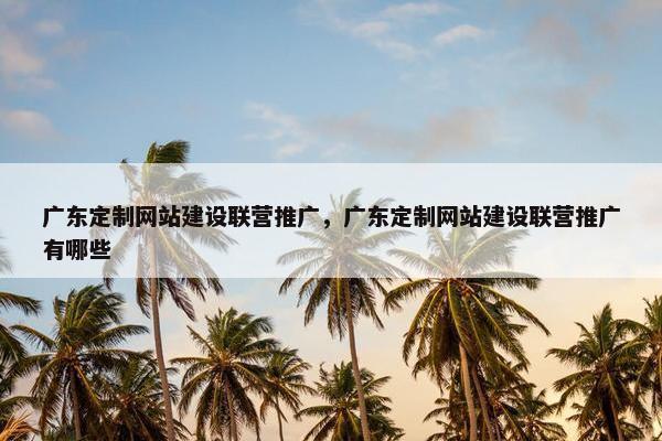 广东定制网站建设联营推广，广东定制网站建设联营推广有哪些