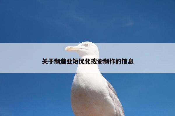 关于制造业短优化搜索制作的信息