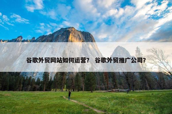谷歌外贸网站如何运营？ 谷歌外贸推广公司？
