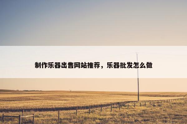 制作乐器出售网站推荐，乐器批发怎么做