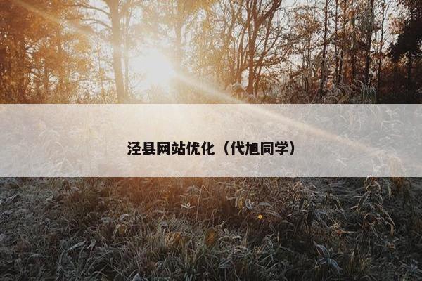 泾县网站优化（代旭同学）