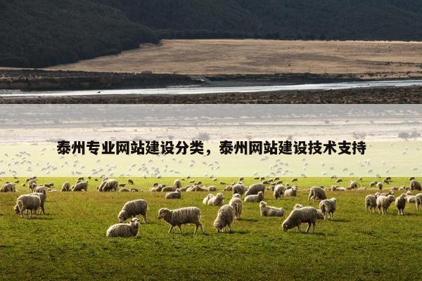 泰州专业网站建设分类，泰州网站建设技术支持