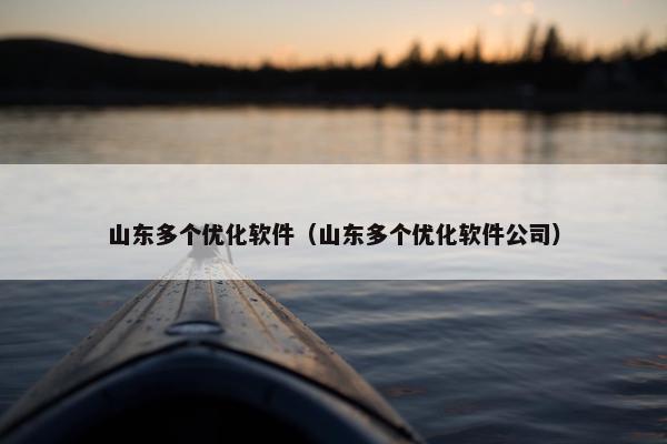 山东多个优化软件（山东多个优化软件公司）