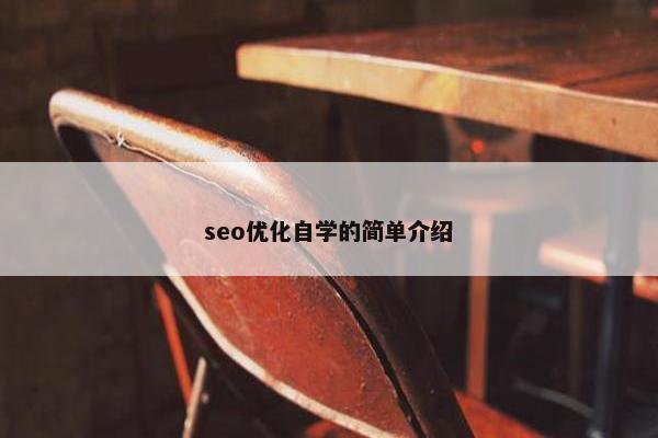 seo优化自学的简单介绍
