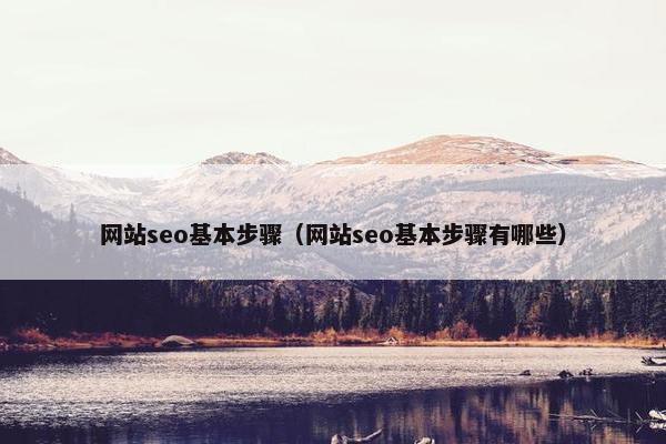 网站seo基本步骤（网站seo基本步骤有哪些）